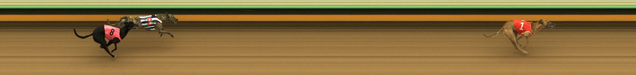 Race result finish photo